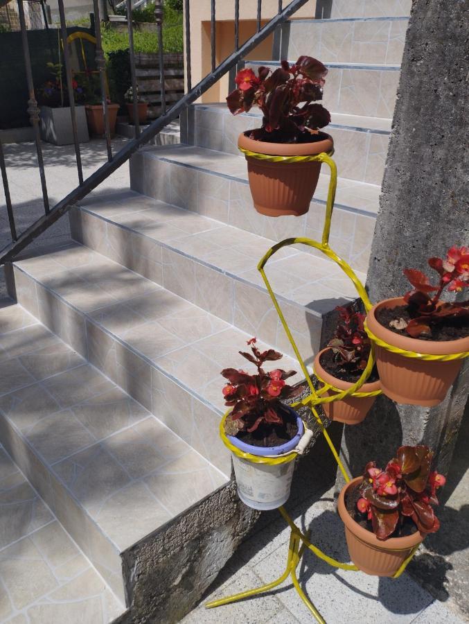 House Natural سيتلوك المظهر الخارجي الصورة