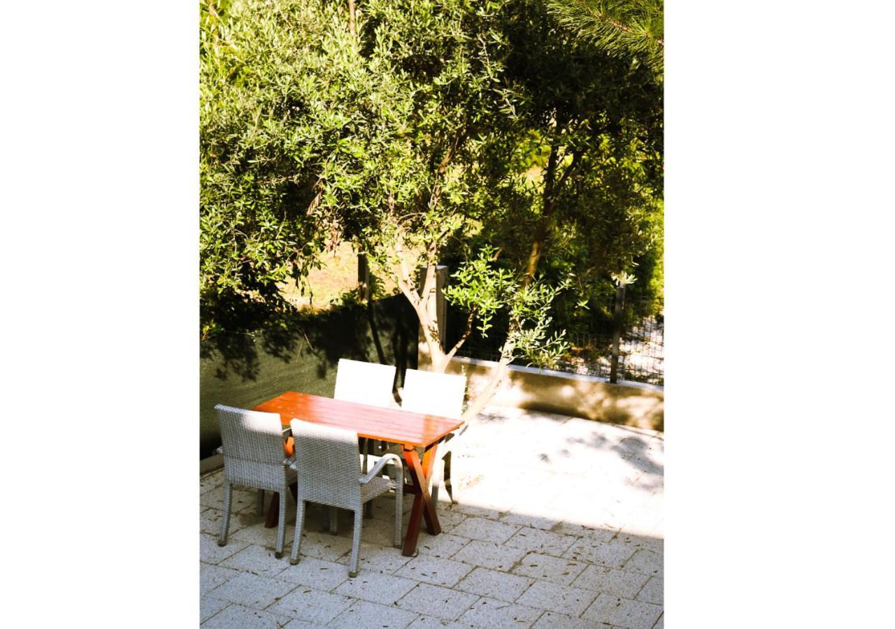 House Natural سيتلوك المظهر الخارجي الصورة